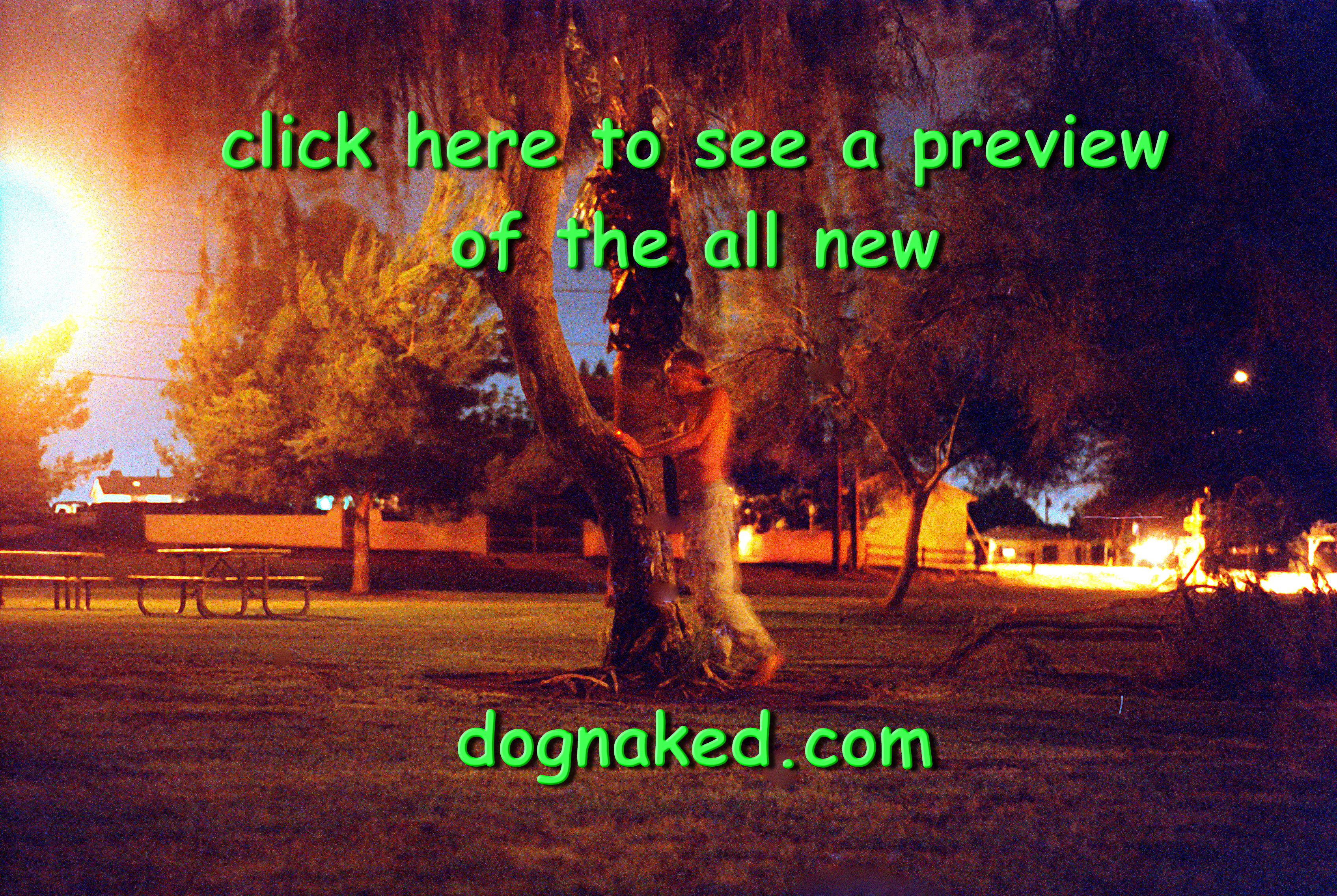 NEW DOGNAKED PREVIEW